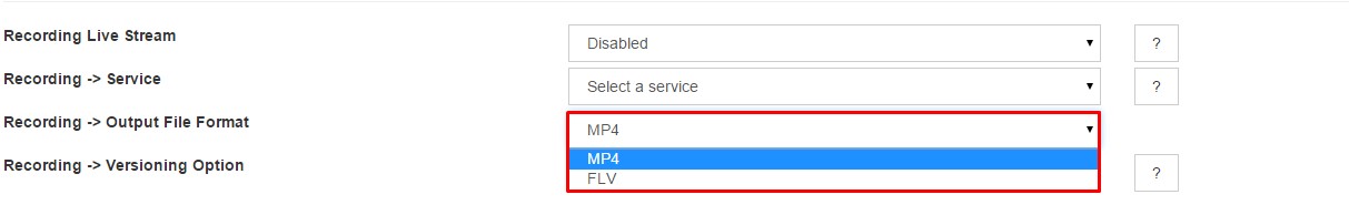 streamrecording_docs_file_format